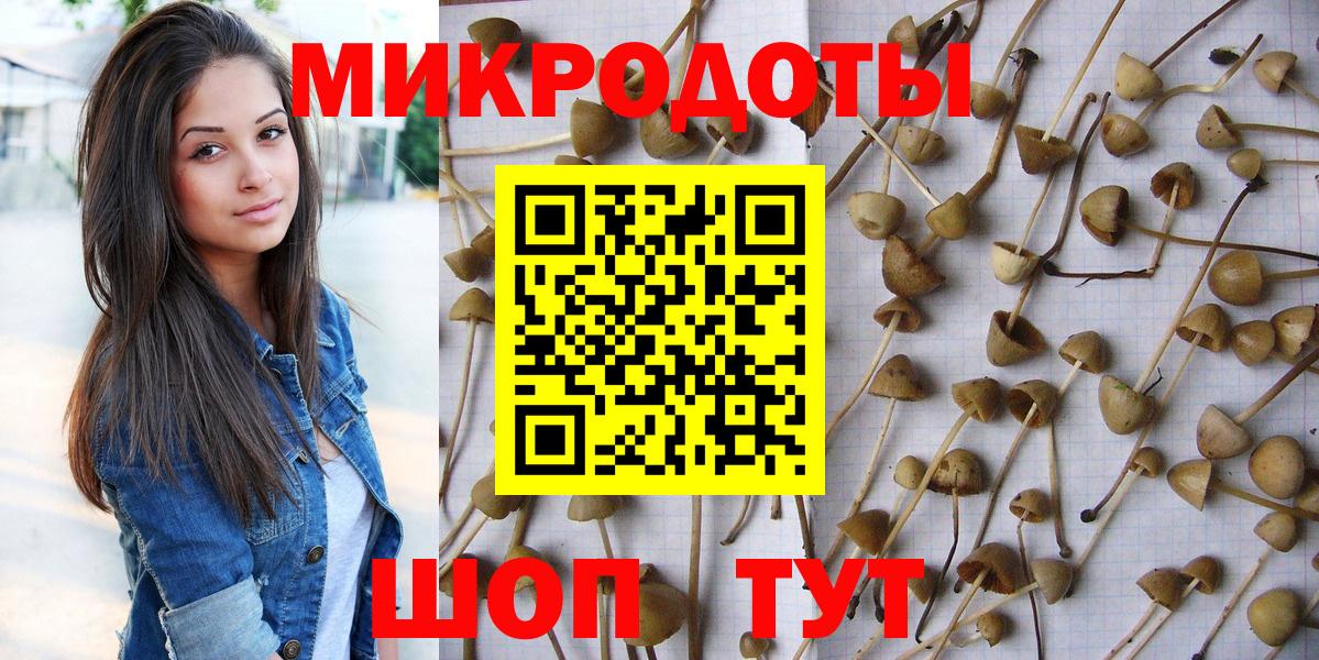 Псилоцибиновые грибы мицелий Татарск