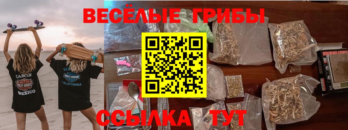 где продают наркотики  Галлюциногенные грибы мухоморы  Вход с VPN  Татарск  Галлюциногенные грибы Psilocybe 